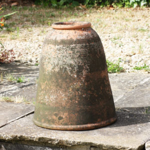 terracotta rhubarb forcer