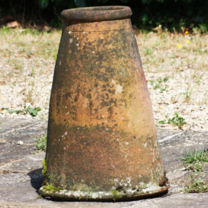 terracotta rhubarb forcer