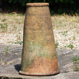 terracotta rhubarb forcer