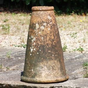 terracotta rhubarb forcer