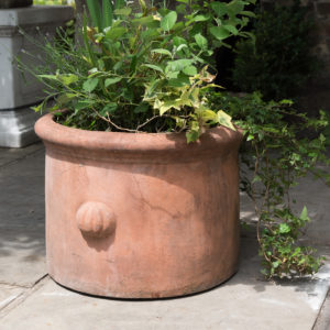 Round terracotta planters,