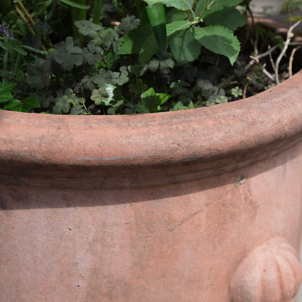 Round terracotta planters,-128970