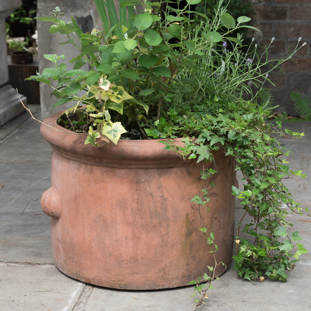 Round terracotta planters,