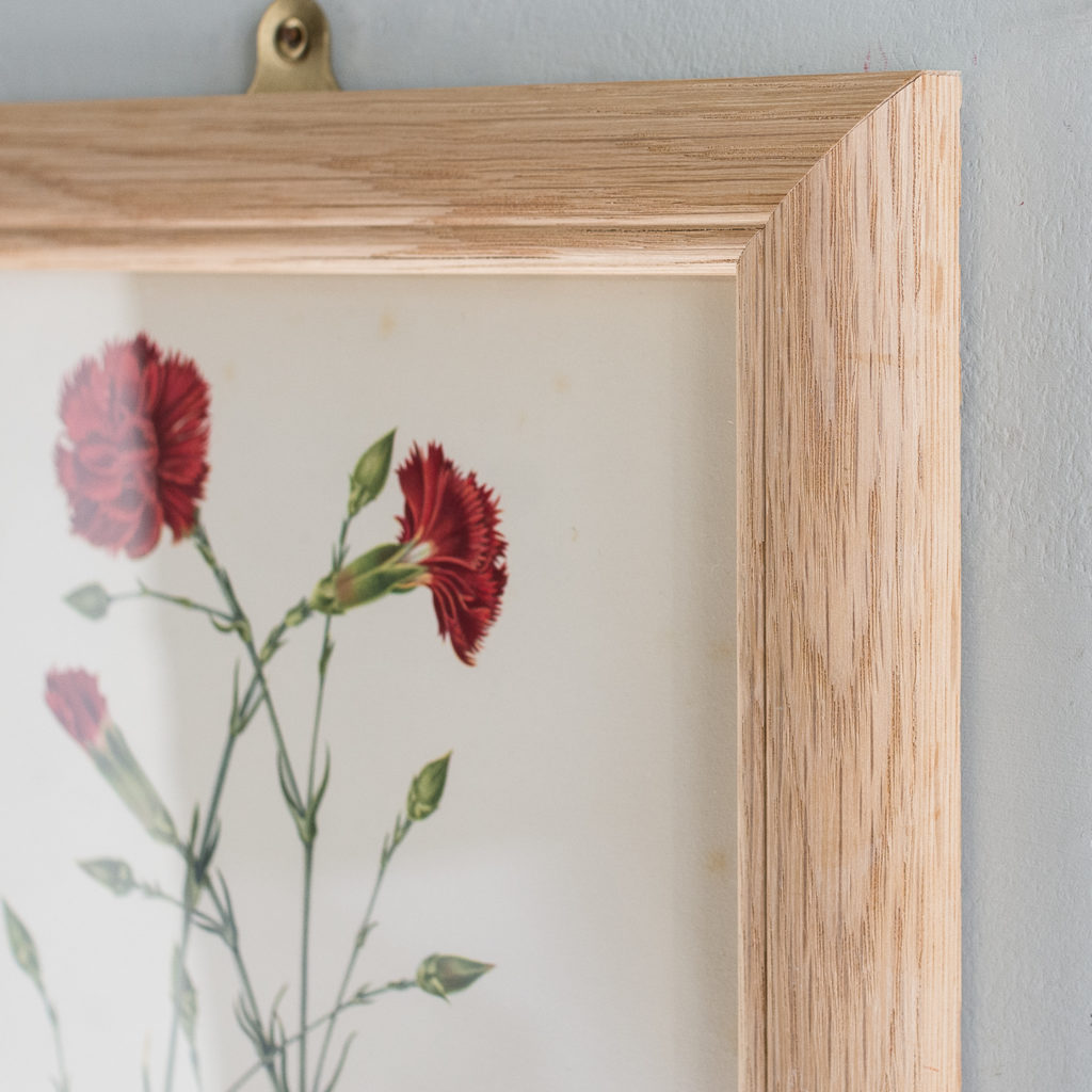 Old Carnations and Pinks-132570