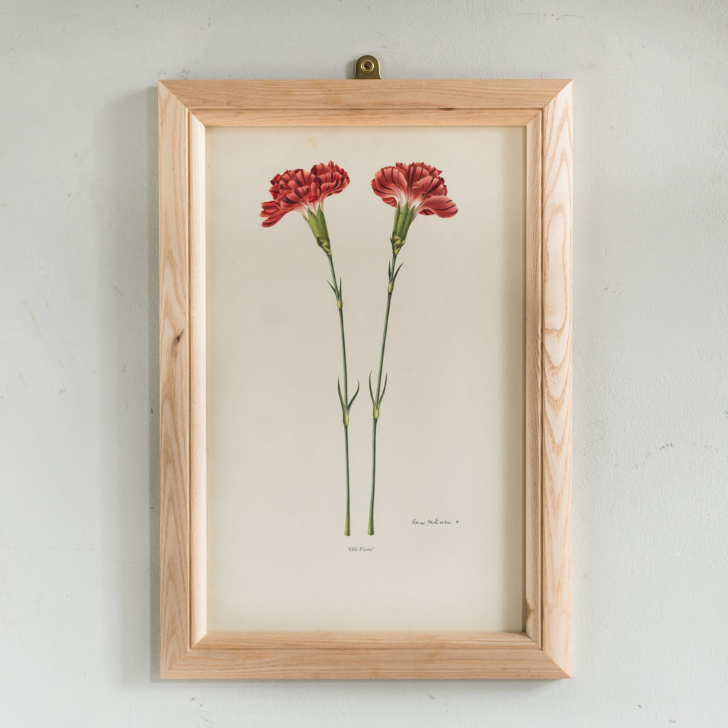 Old Carnations and Pinks Lithographs