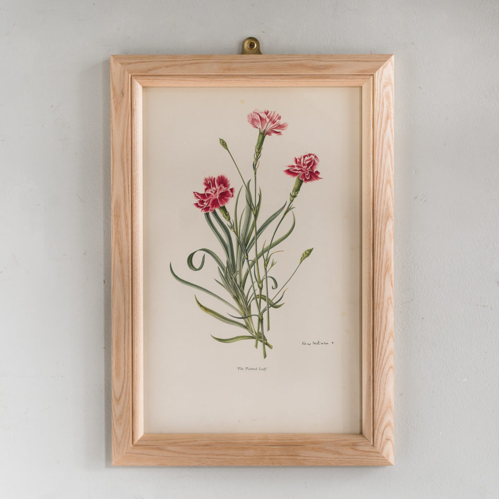 Old Carnations and Pinks Lithographs