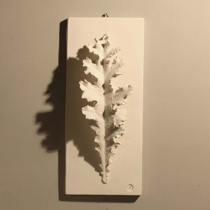 plaster acanthus leaf