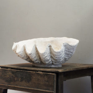 An English plaster cast of a clam shell-0