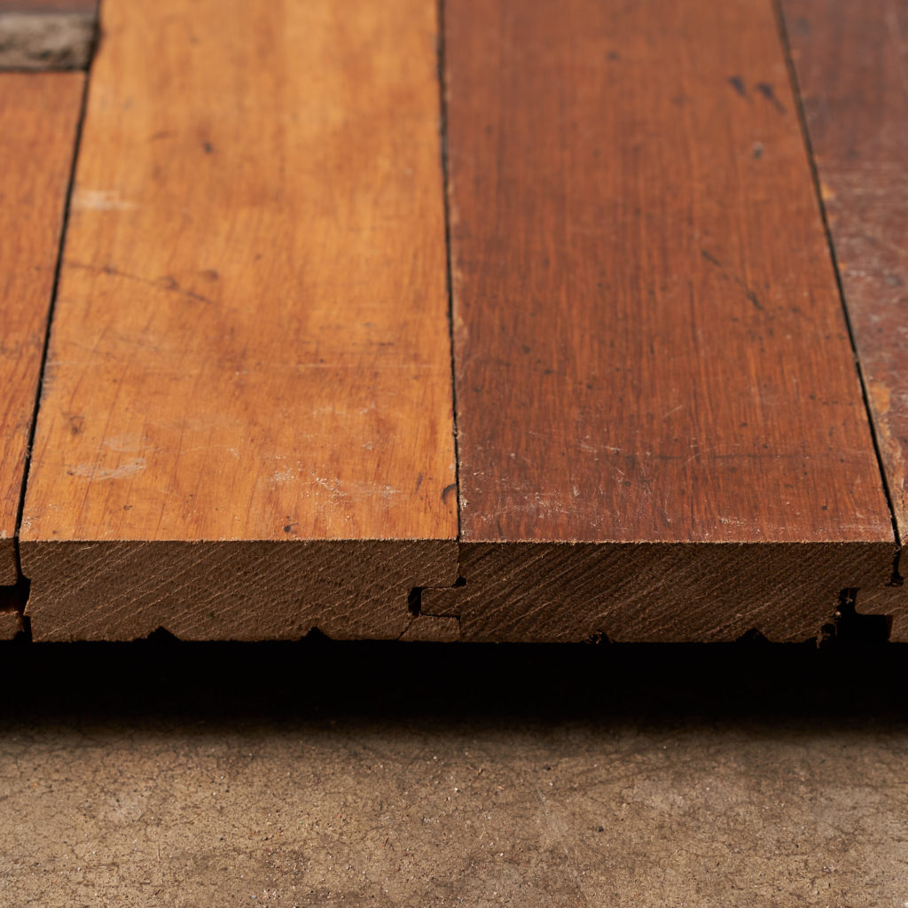 Gym Hall Oak Strip-136323