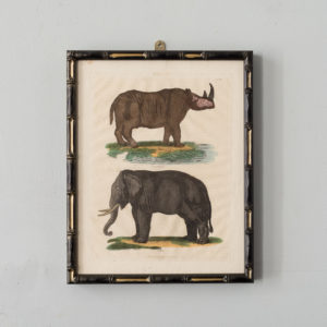 William Smellie Natural History copper-engravings,
