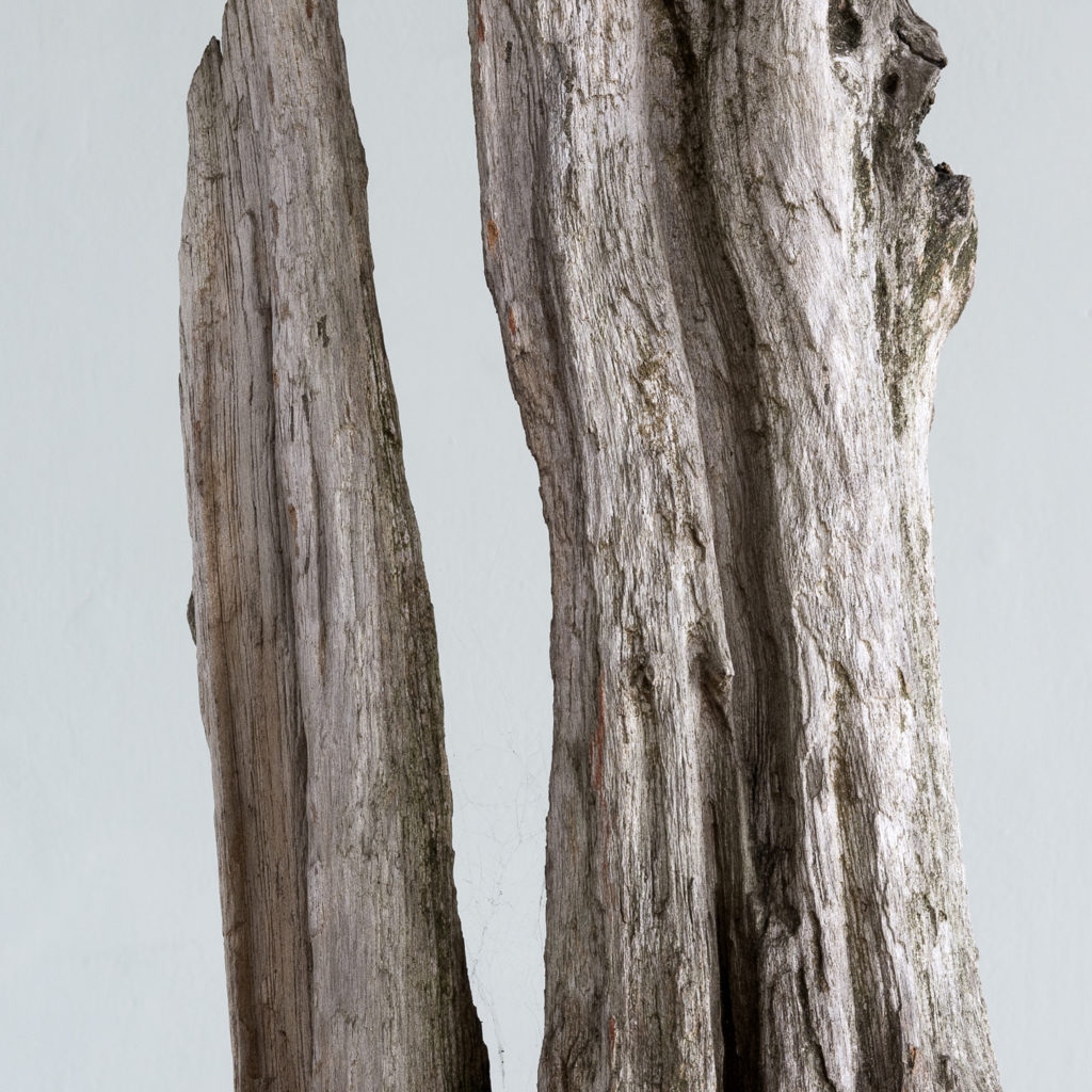 Large driftwood sculpture