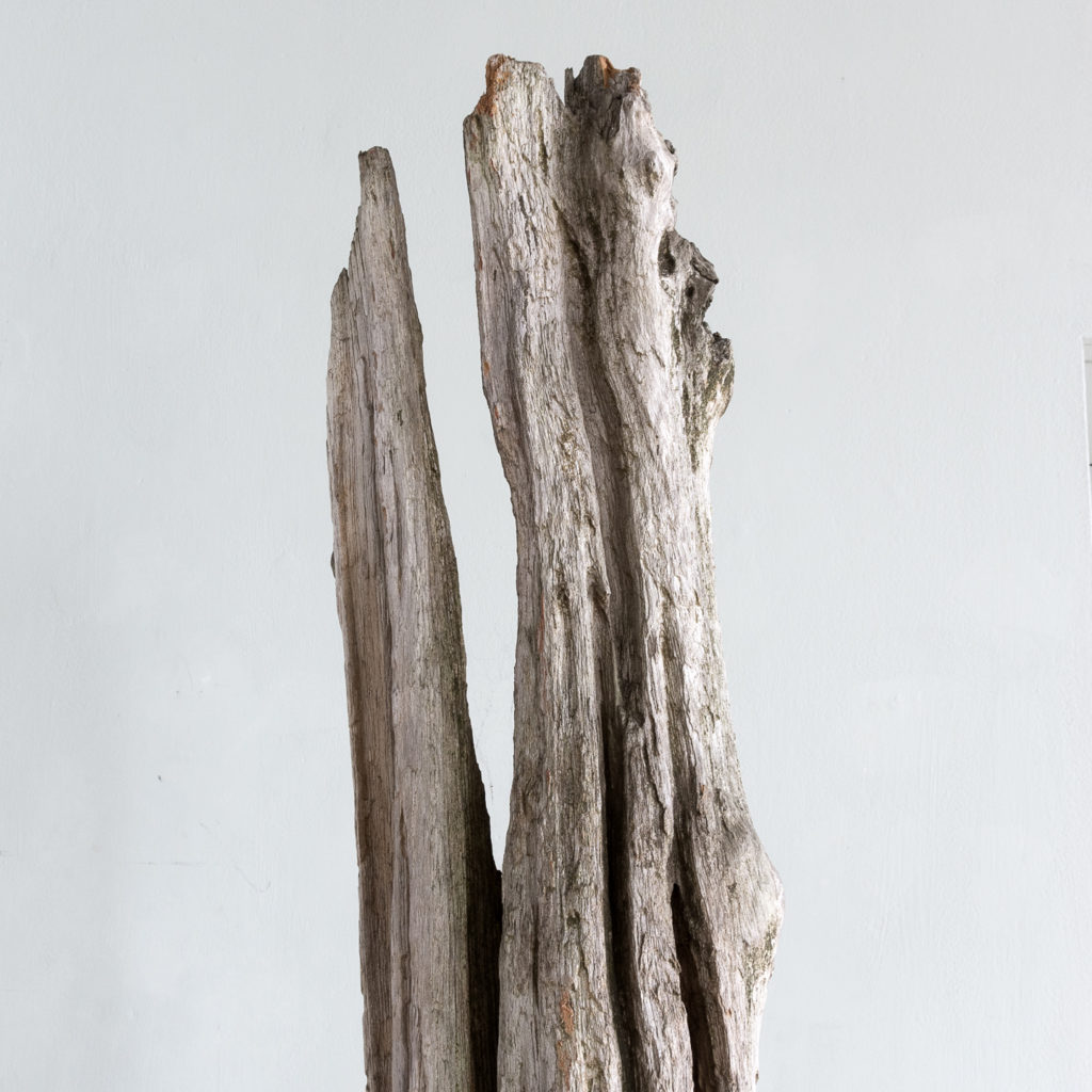 Large driftwood sculpture