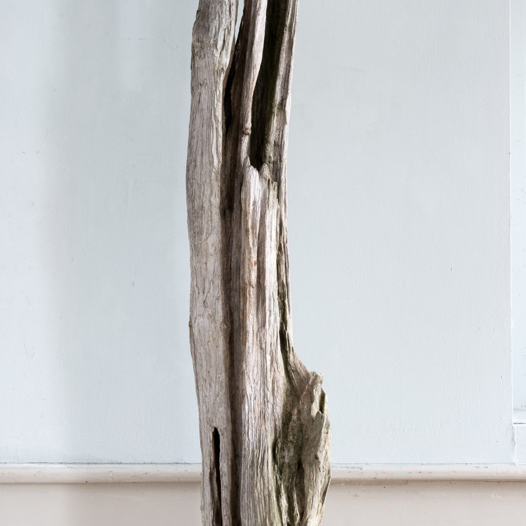 Large driftwood sculpture