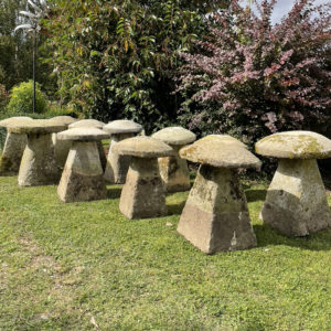 stone mushrooms