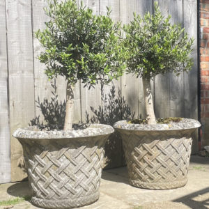 Terrace pots