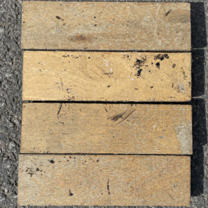 beech parquet